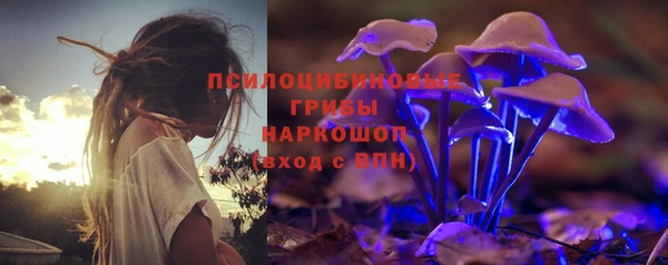 винт Абаза
