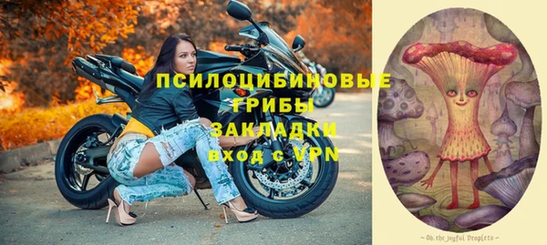 винт Абаза