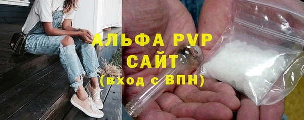 винт Абаза